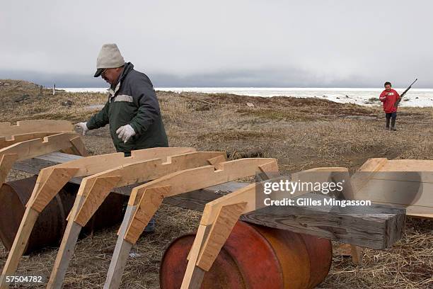 Inupiat Eskimo Tony Weyiouanna assembles the frame of a new fishing boat that he is building, as he waits for the northeast winds to shift before...