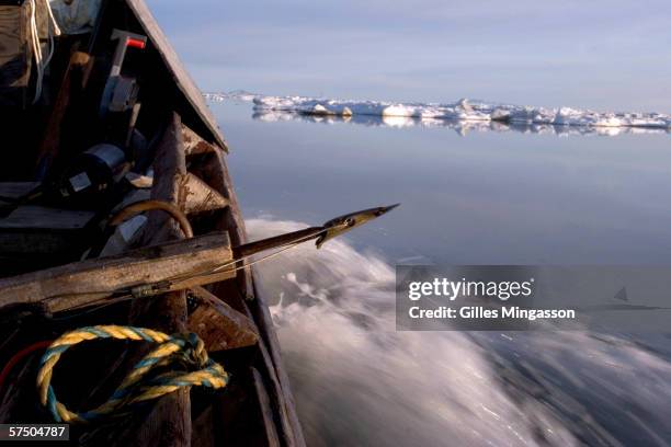 Harpoon is ready to pick seals out the water during the traditional Inupiat Eskimos spring hunt, June 13, 2005 on the Chukchi Sea near Shishmaref,...