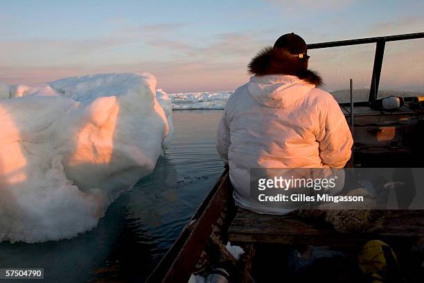 Under the soft Arctic 3 am sunlight, Inupiat Eskimo Johnny Weyiouanna navigates between icebergs as he looks for prized "okgrouts", or bearded seals,...