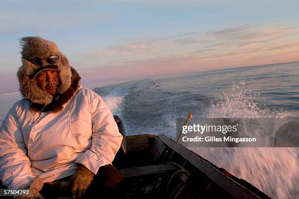 Am, Exhausted by a night of seal hunting, Inupiat Eskimo Johnny Weyiouanna heads back to Shishmaref, on the Chukchi Sea, June 14, 2005 near...