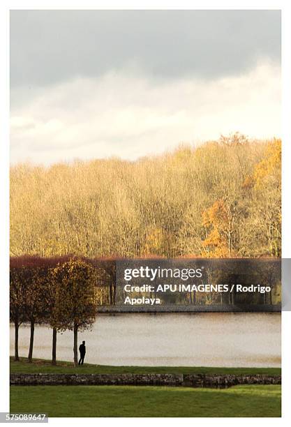 Fall Loneliness Imagenes Photos and Premium High Res Pictures - Getty Images
