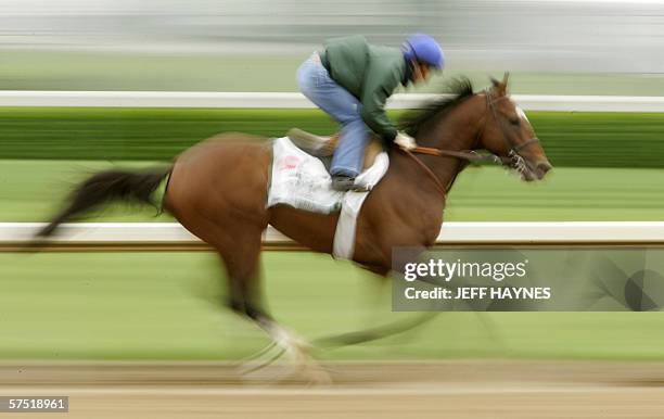Louisville, UNITED STATES: Jockey Alex Solis rides likely favorite, Brother Derek, 01 May, 2006 during his morning work-out for the 132nd running of...