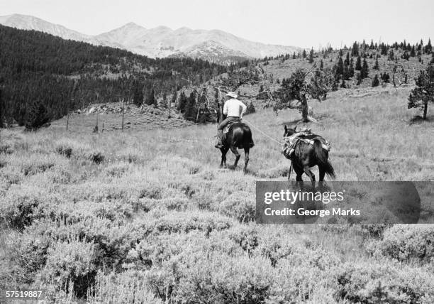 cowboy riding horse, with second hold on reins, (b&w) - landscape black and white stock pictures, royalty-free photos & images