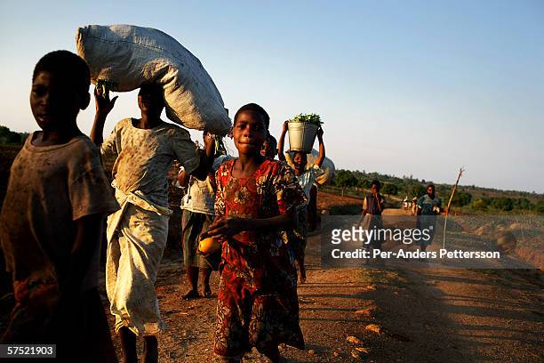 Villagers walk to a local market on November 12, 2005 in Galufu, Malawi. Most people in the village are poor and hungry, and cannot afford to buy...