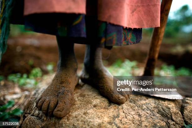 southern africa hunger and poverty crisis - 2005 stock pictures, royalty-free photos & images