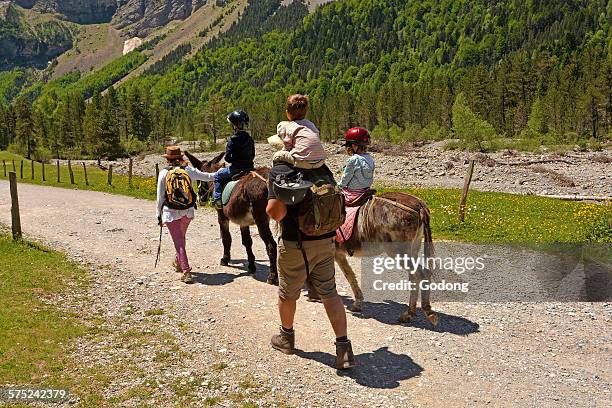 pyrenees landscape - hautes pyrénées photos et images de collection