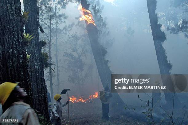 Tegucigalpa, HONDURAS: Empleados forestales de Honduras combaten un incendio forestal de gran magnitud que consume el cerro Uyuca, 20 km al este de...