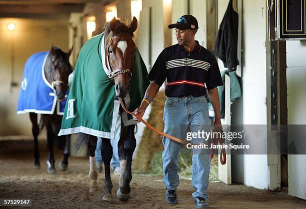 Kentucky Derby favorite Brother Derek is led on a hot walk in the stables during morning workouts in preparation for the 132nd Kentucky Derby on May...