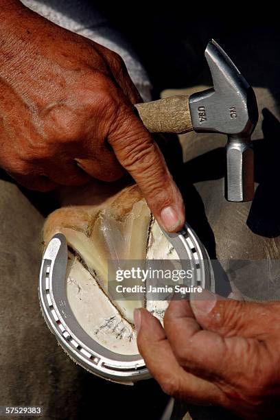 Farrier attaches a horseshoe to the hoof of a horse during morning workouts in preparation for the 132nd Kentucky Derby on May 4, 2006 at Churchill...