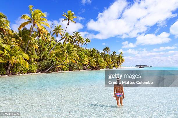 woman in bikini with snorkel gear in a blue lagoon - aitutaki stock pictures, royalty-free photos & images