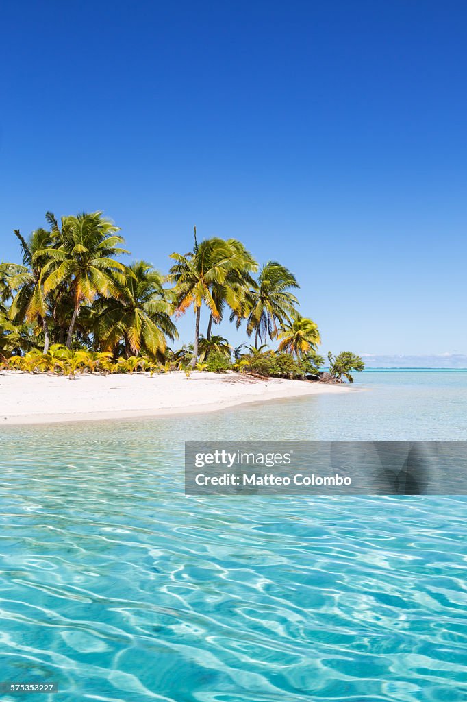 Tropical beach and turquoise sea, Aitutaki