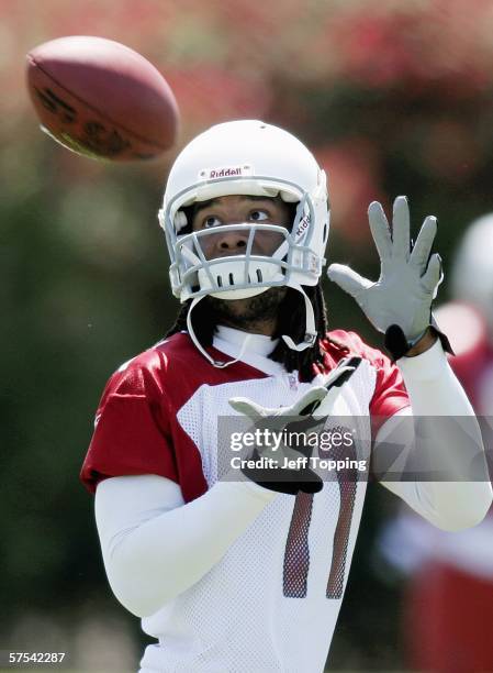 Wide receiver Larry Fitzgerald of the Arizona Cardinals catches a pass during the first day of mini-camp at the team's training center May 5, 2006 in...