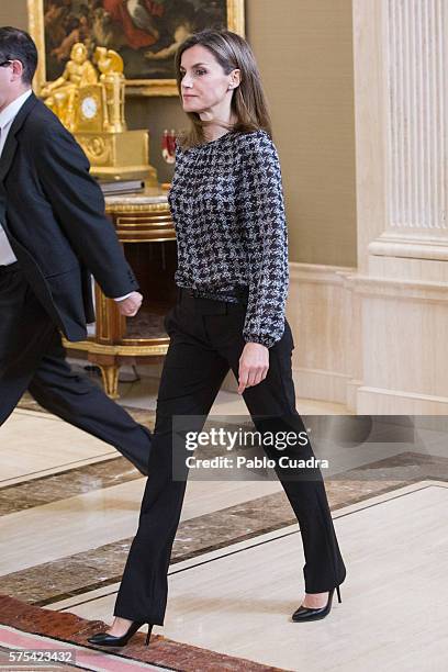 Queen Letizia of Spain attends several audiences at Zarzuela Palace on July 15, 2016 in Madrid, Spain.