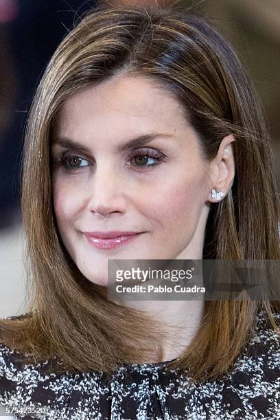 Queen Letizia of Spain attends several audiences at Zarzuela Palace on July 15, 2016 in Madrid, Spain.