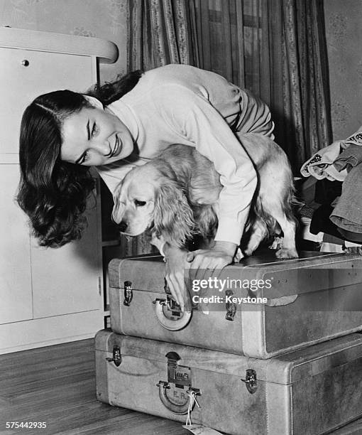 Portrait of actress Ella Raines attempting to close her packed suitcases with her pet dog, circa 1943.