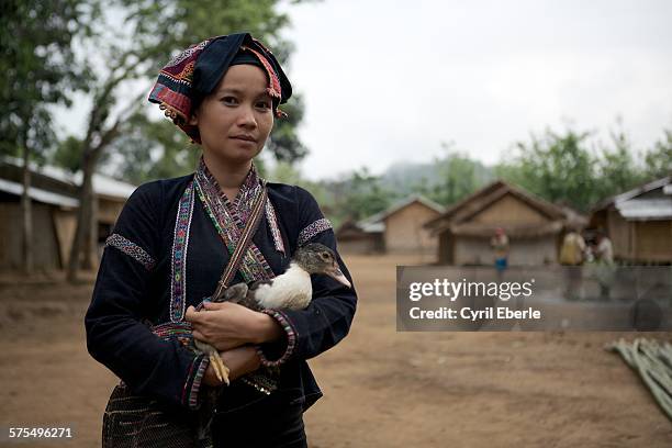 khmu woman in traditional dress holding a duck - cyril eberle stockfoto's en -beelden