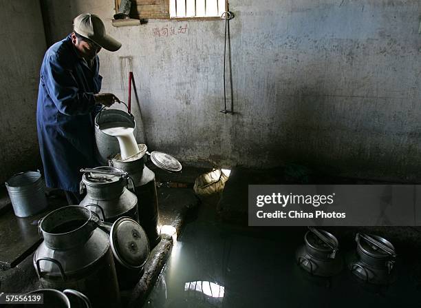 Milkman pours milk into a pail on a farm May 8, 2006 in Datong County of Qinghai Province, China. The Ministry Of Agriculture has stated that...