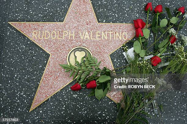 Los Angeles, UNITED STATES: Roses left by "The Lady in Black" adorn the star of Rudolph Valentino on the Hollywood Walk of Fame 08 May 2006 in Los...