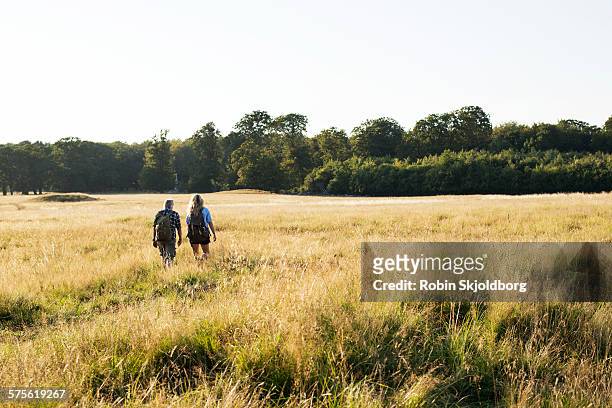 mature man and woman hiking - forest denmark stock pictures, royalty-free photos & images