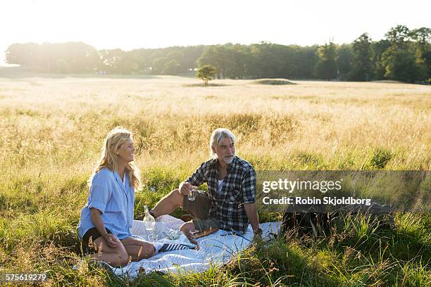 mature man and woman having picnic - picknick stockfoto's en -beelden