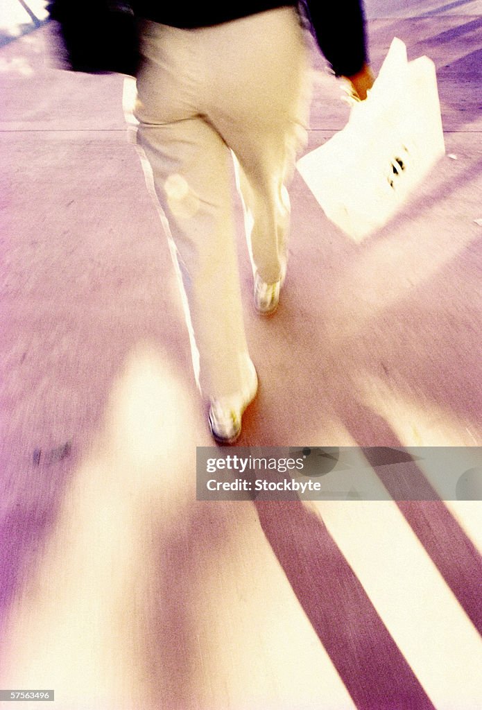 View of the back of a person carrying a shopping bag