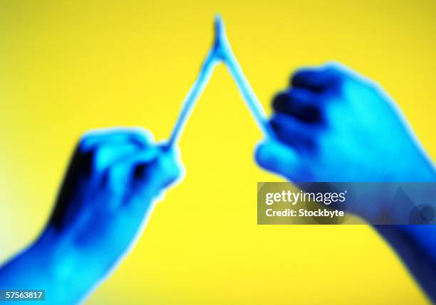 person holding a wishbone - wishbone ストックフォトと画像