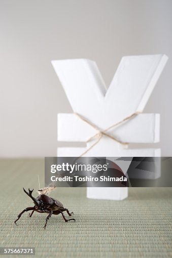 A beetle pulling a YEN shape object A beetle pulling a YEN shape object