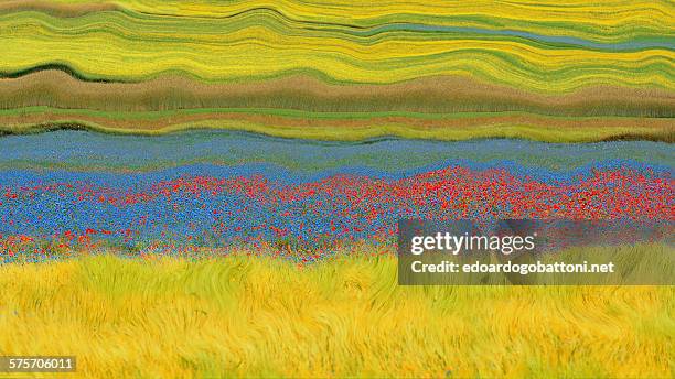 abstract landscape - natural pattern stock pictures, royalty-free photos & images