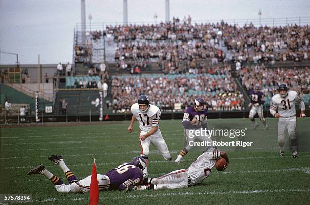 American professional football player Richie Petitbon of the Chicago Bears runs towards the action as an opponent from the Minnesota Vikings tackles...