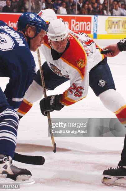 Joe Nieuwendyk of the Florida Panthers watches the puck during a face-off against the Toronto Maple Leafs during the NHL game at Air Canada Centre...