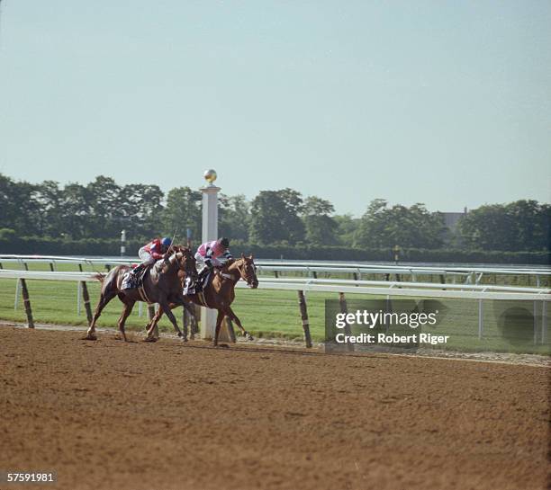 Jockey Steve Cauthen rides Affirmed as Jorge Velasquez tries to pull Alydar into first place during the Belmont Stakes on June 10, 1978 at Belmont...