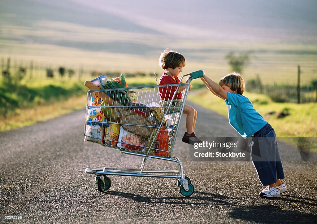 Side view of a young boy pushing a shopping cart with groceries and other young boy (4-8) inside