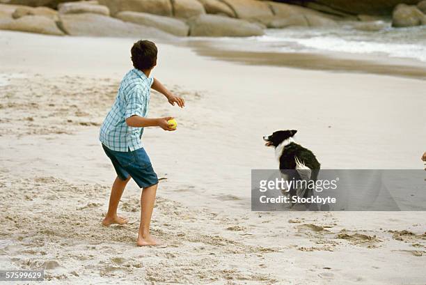 rear view of a young boy playing on the beach with his dog - throwing fotografías e imágenes de stock