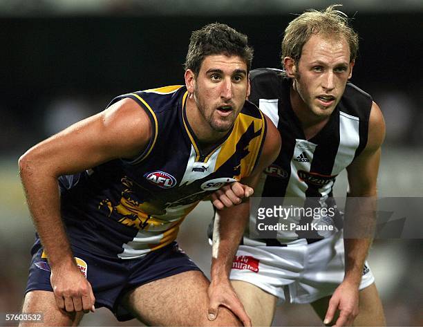 Dean Cox of the Eagles and Josh Fraser of the Magpies contest the ruck during the round seven AFL match between the West Coast Eagles and the...