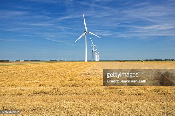 windmills and wheat - jenco van zalk stock pictures, royalty-free photos & images