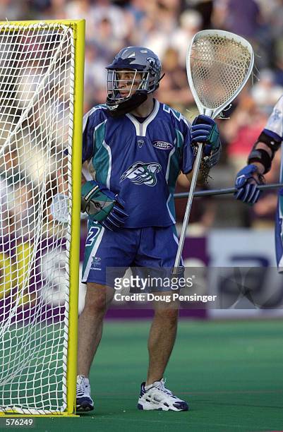 Goalie Greg Cattrano of the Baltimore Bayhawks looks on during a Major League Lacrosse game against the Long Island Lizards on Homewood Field at John...