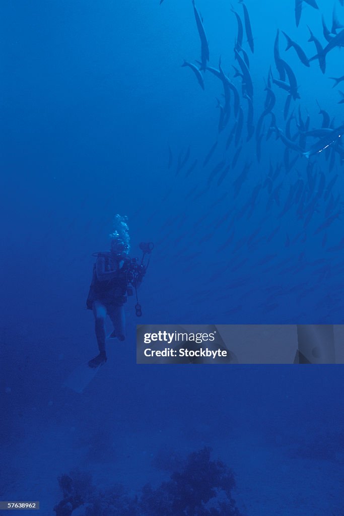 A scuba diver filming a school of fish under the sea