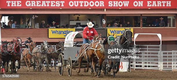 Chuck Ward Racing 232 Chuckwagon Racing Stock Photos, High-Res Pictures, and Images ...