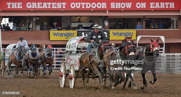 Chuck Ward Racing 232 Chuckwagon Racing Stock Photos, High-Res Pictures, and Images ...