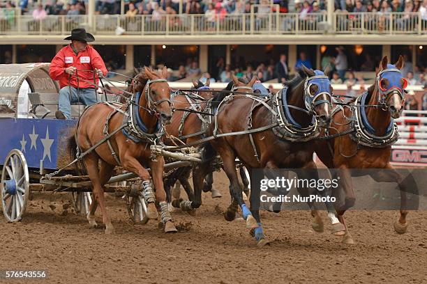 Chuck Wade Racing 36 Most Famous Chuckwagon Race Stock Photos, High-Res Pictures, and ...