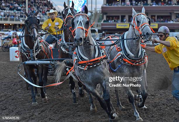 Chuck Ward Racing Chuckwagon Racing Photos and Premium High Res Pictures - Getty Images