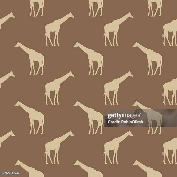Giraffe Rim Pattern 4,339 Giraffe Design Stock Photos, High-Res Pictures, and Images ...