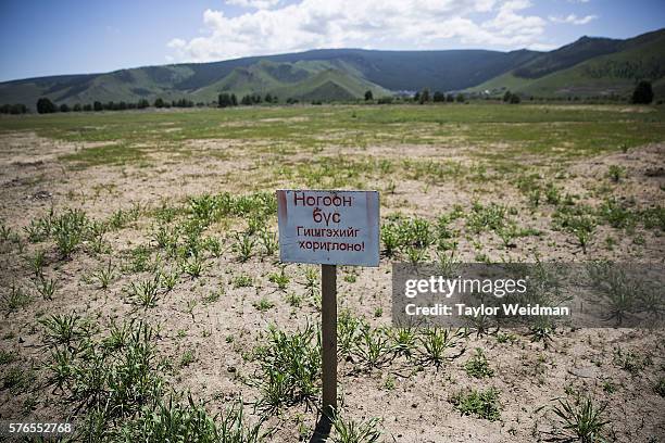 Sign warns visitors not to walk on newly planted grass during a cricket nets session at MACA Mongolian Friendship Cricket Ground on July 16, 2016 in...