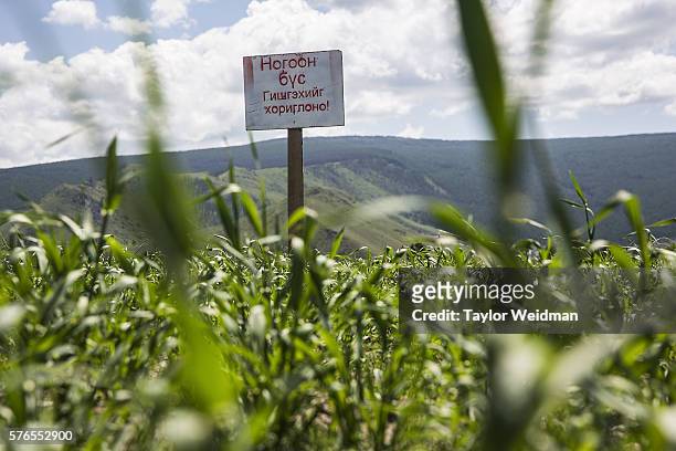 Sign warns visitors not to walk on newly planted grass during a cricket nets session at MACA Mongolian Friendship Cricket Ground on July 16, 2016 in...