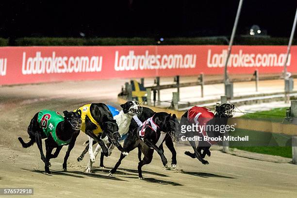 Greyhound racing resumes at Wentworth Park on July 16, 2016 in Sydney, Australia. NSW Premier Mike Baird announced the banning of greyhound racing in...