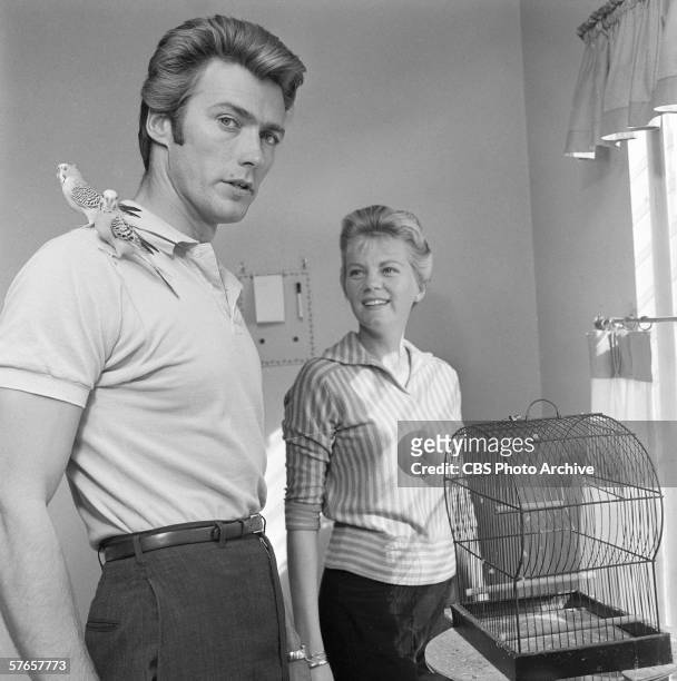 American actor Clint Eastwood and his wife, Maggie Johnson, play with two pet budgerigars in their home, October 1, 1959.