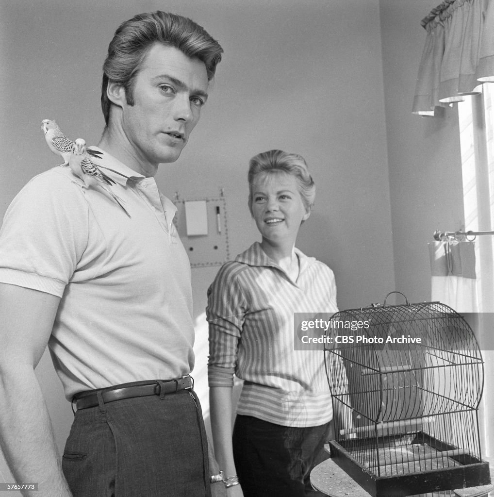American Actor Clint Eastwood And Wife Maggie Johnson With Pet Budgies, 1959