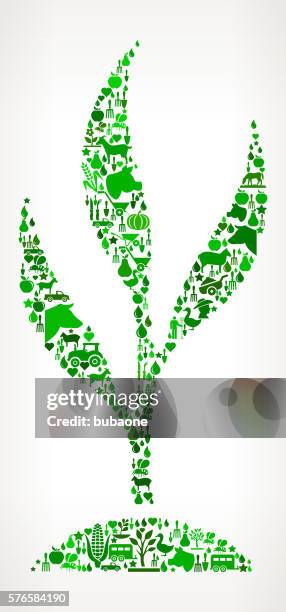growing tree farming and agriculture green icon pattern - pear tree stock illustrations
