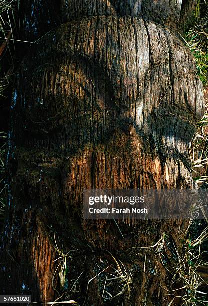In this undated photo a Haida totem pole decomposes into the earth in the old village site of Skedans iin the Queen Charlotte Islands , the Canadian...