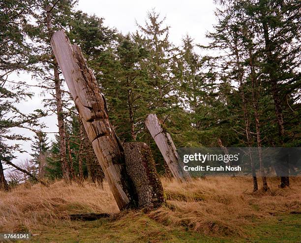 In this undated photo Haida totem poles still stand in the long abandoned Haida village, Skedans, in the Queen Charlotte Islands , the Canadian...